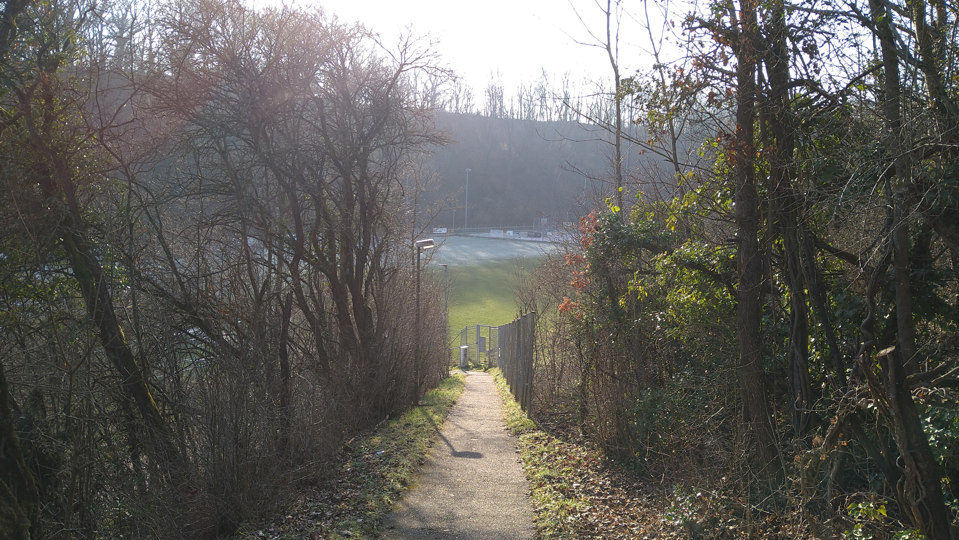 TwoFaceHöfingen